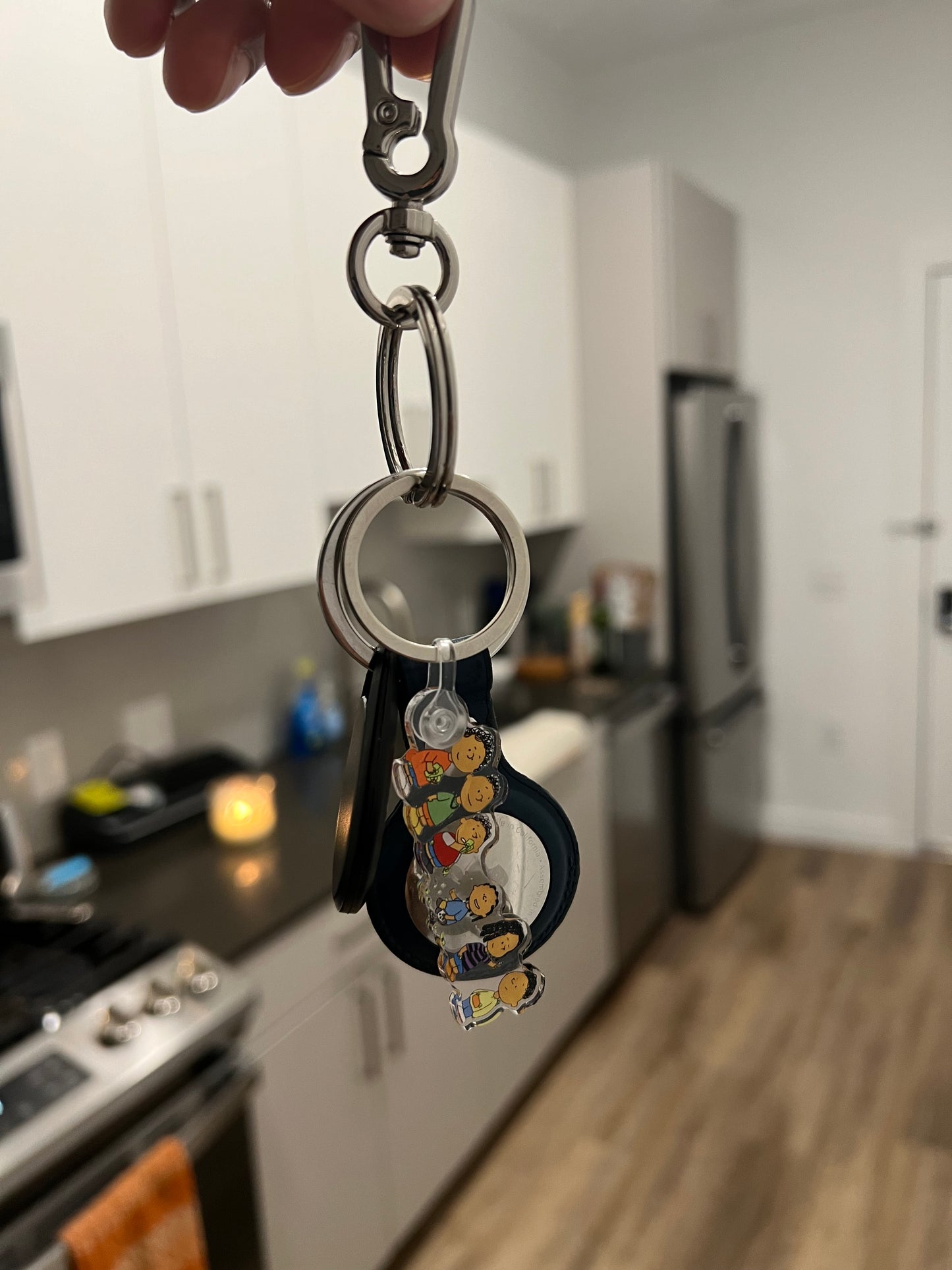 PBS Mini’s Keychain